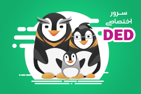 سرور اختصاصی