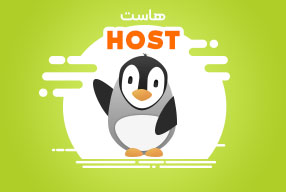 هاست وردپرس